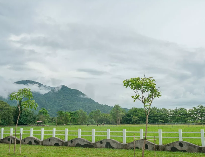 瑞穗牧場旅遊 瑞穗牧場旅遊
