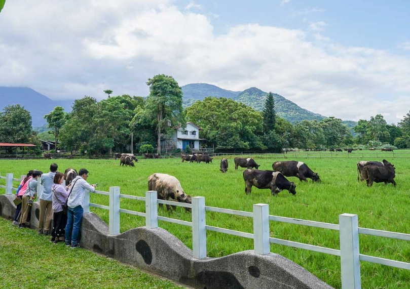 瑞穗牧場旅遊 瑞穗牧場旅遊