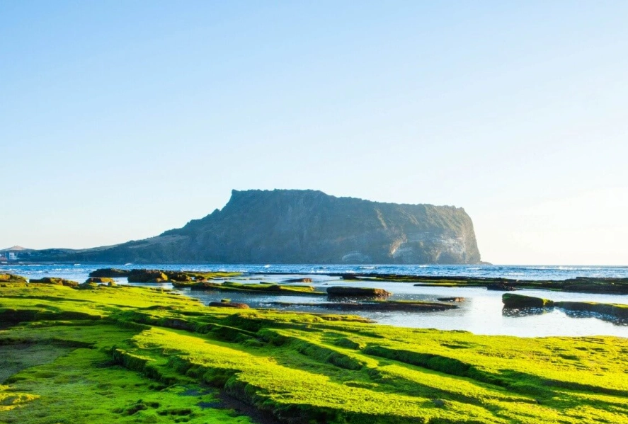 濟州島旅遊攻略