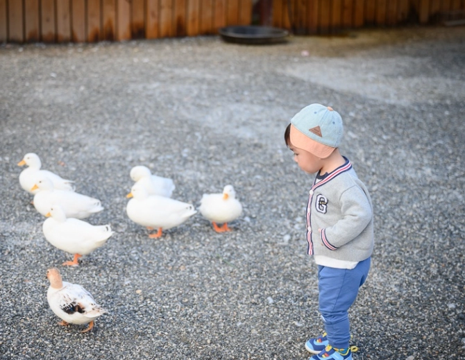 月崖灣農場活動