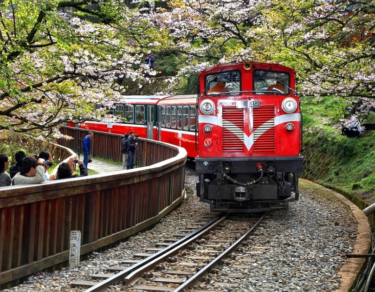 阿里山旅遊攻略