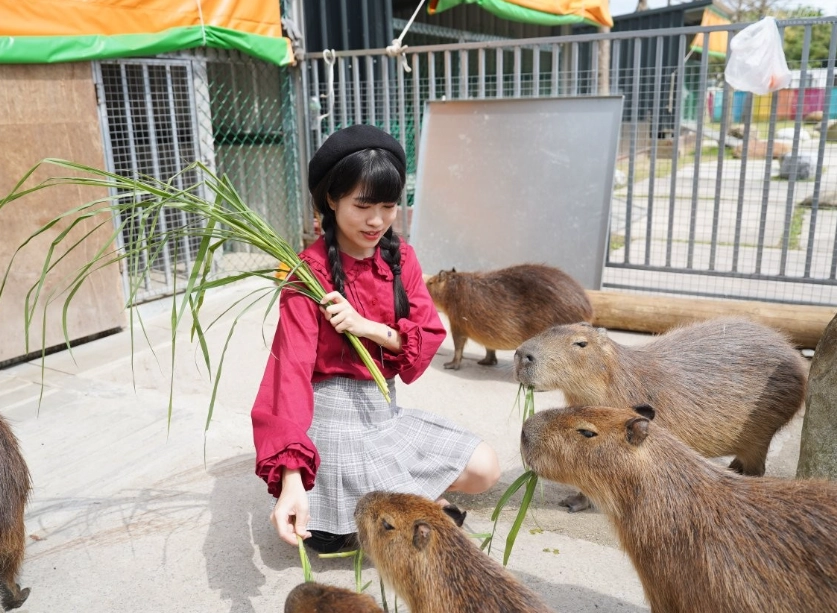 花蓮動物園交通