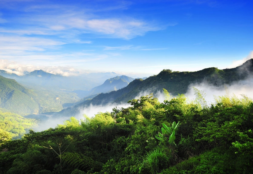 阿里山旅遊攻略