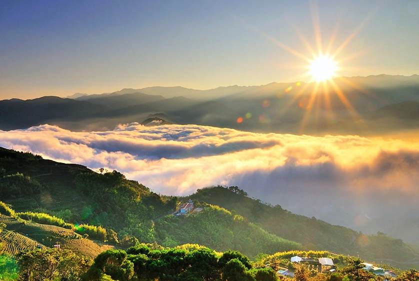 阿里山旅遊攻略