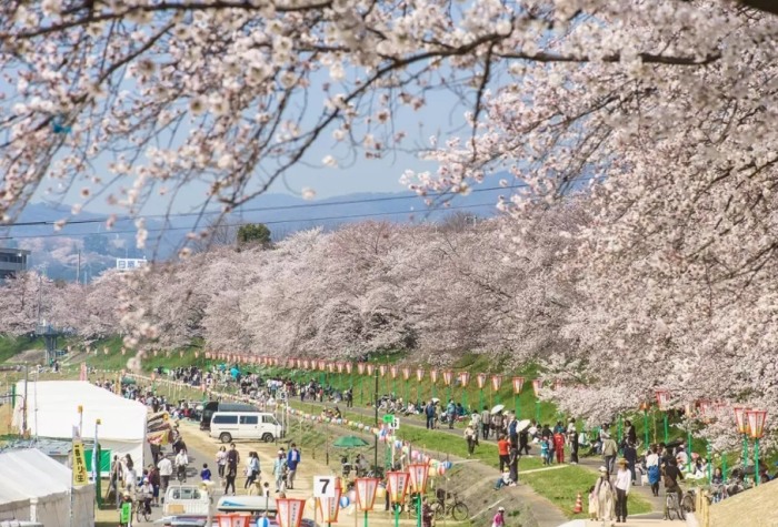 岡山旅遊景點 岡山旅遊景點
