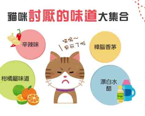貓討厭的味道