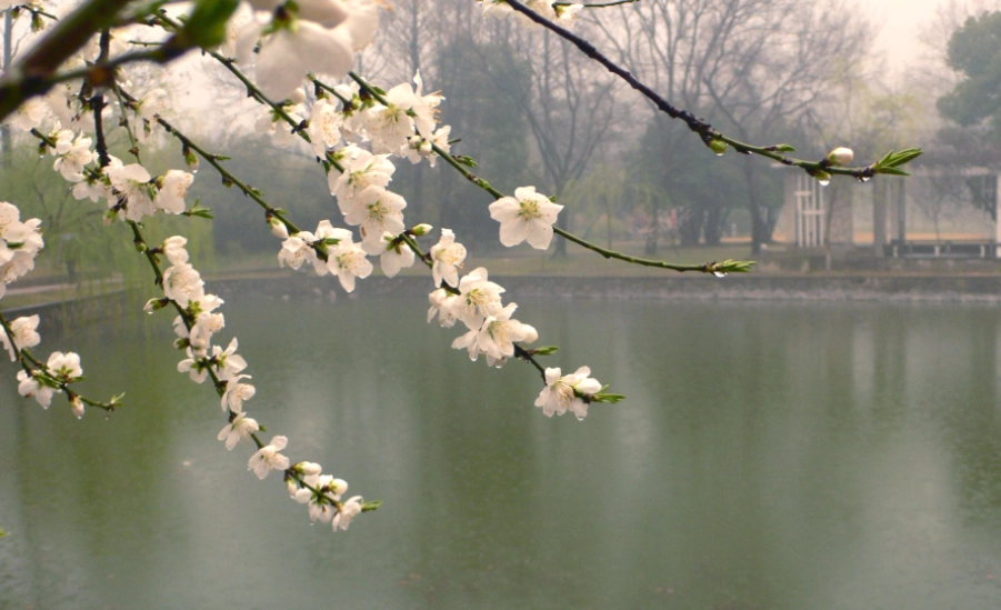 宜蘭家庭旅遊行程