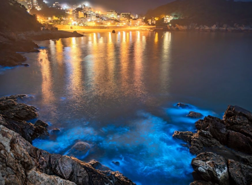 馬祖三天兩夜藍眼淚之旅：完整行程規劃與觀賞秘訣